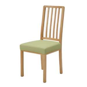 Anyseat Plain Light Green Stretch Chair Cover