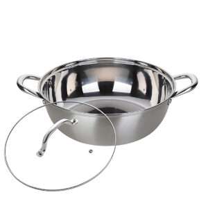 Anygleam Stock Pot Silver Stainless Steel