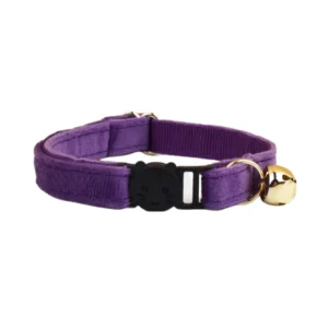 Anypet Stylish Small Dark Purple Cat Collar